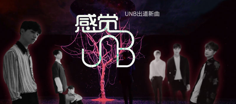 UNB《感觉》