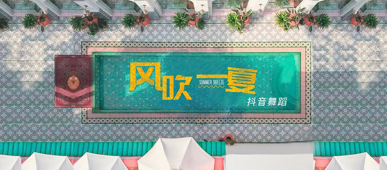 抖音舞《风吹一夏》