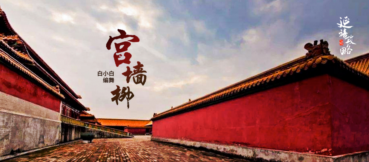 【中国风】白小白编舞《宫墙柳》